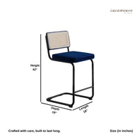 Sarkar Rattan Arm Chair (Blue Upholstery)